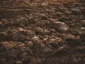 Gleba po orce, z grudami i kamieniami. Idealna do analizy, jak sprawdzić klasę ziemi.