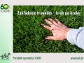 Dłoń dotyka gęstej, zielonej trawy. Poradnik ogrodniczy LODR podpowiada, jak wyrownac trawnik krok po kroku.
