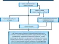 Jakie studia wybrać, aby zostać geodetą? Wymagania i ścieżki kariery