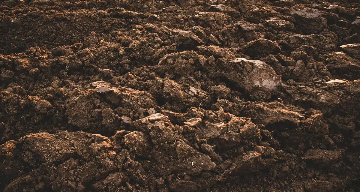 Gleba po orce, z grudami i kamieniami. Idealna do analizy, jak sprawdzić klasę ziemi.