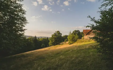 Słoneczny stok z domkiem w lesie. Zastanawiasz się, ile kosztuje ar działki budowlanej w takim miejscu?