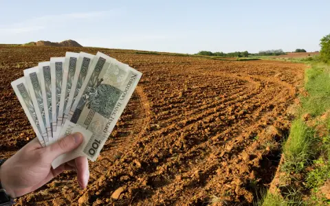 Dłoń trzyma banknoty 100 zł na tle zaoranego pola. Zastanawiasz się, ile kosztuje ar ziemi rolnej?