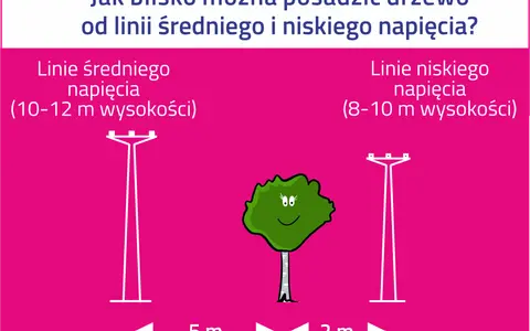 Ilustracja pokazuje, jak zachować bezpieczną odległość od linii energetycznych. Drzewo powinno być posadzone 5 m od linii średniego napięcia (10-12 m) i 2 m od linii niskiego napięcia (8-10 m).