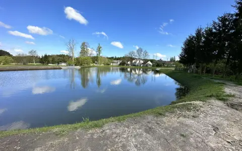 Piękny, świeżo wykopany staw. Zastanawiasz się, ile kosztuje wykopanie stawu? Warto zainwestować w taki krajobraz.