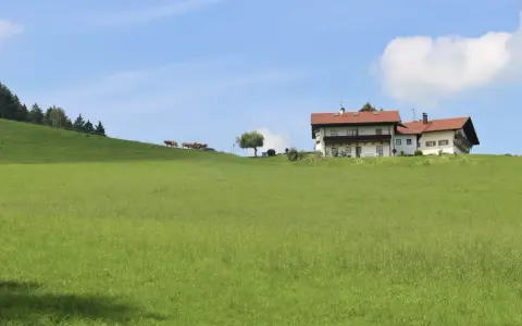 Zielone łąki, dom na wzgórzu i krowy. Idealne miejsce na budowę domu, a ceny działek budowlanych na wsi mogą być atrakcyjne.
