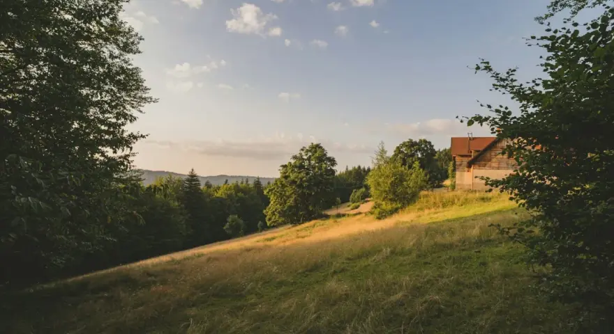 Słoneczny stok z domkiem w lesie. Zastanawiasz się, ile kosztuje ar działki budowlanej w takim miejscu?