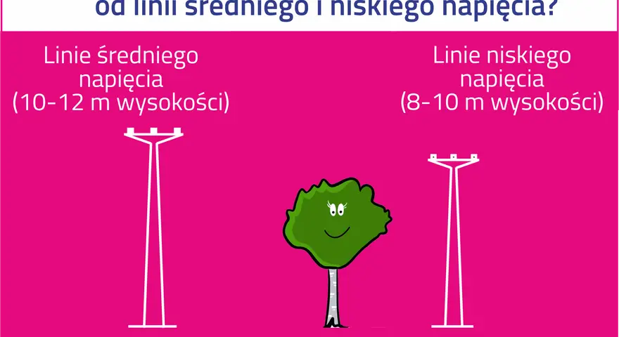 Ilustracja pokazuje, jak zachować bezpieczną odległość od linii energetycznych. Drzewo powinno być posadzone 5 m od linii średniego napięcia (10-12 m) i 2 m od linii niskiego napięcia (8-10 m).