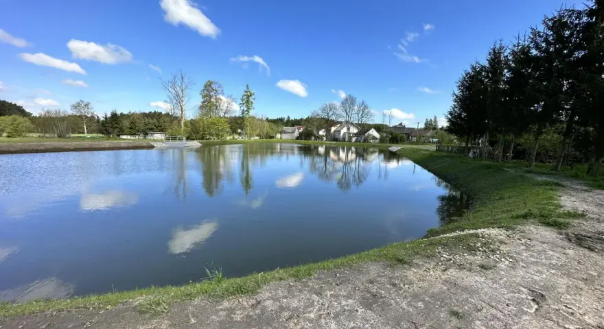 Piękny, świeżo wykopany staw. Zastanawiasz się, ile kosztuje wykopanie stawu? Warto zainwestować w taki krajobraz.