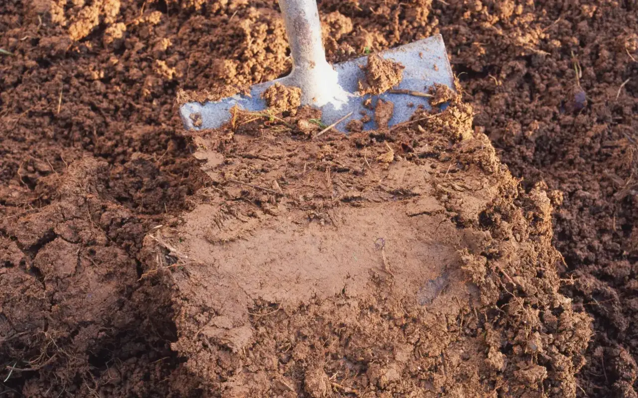 Łopata w gliniastej ziemi, przygotowanie do drenażu działki. Widać wilgotną, zbitymą glebę.